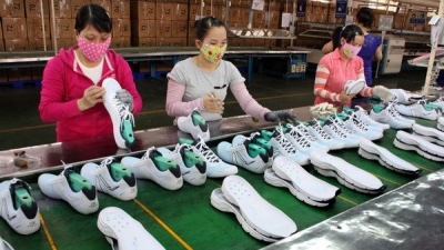 Exports to France fetch USD2 8 billion